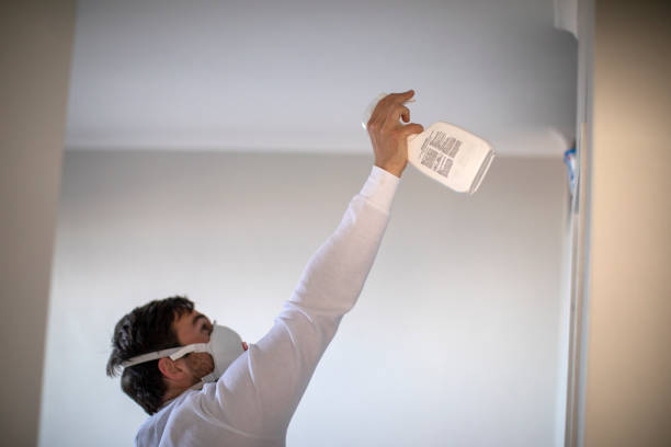 Best Bathroom Mold Remediation in Eyota, MN