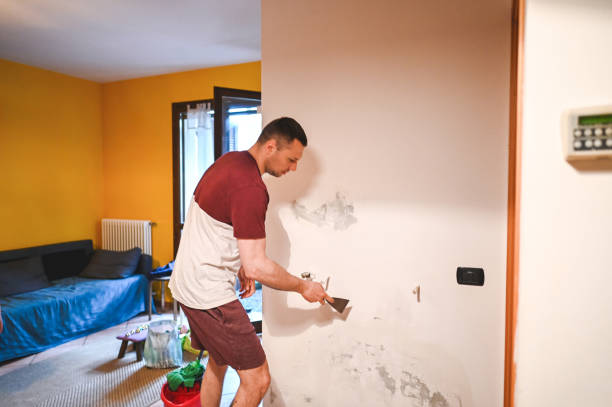 Best Mold Remediation for Specific Building Types in Eyota, MN